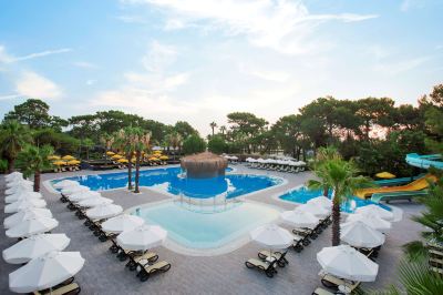 Outdoor Swimming Pool Paloma Foresta Photo
