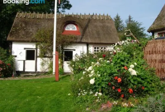 及時旅行回來旅館