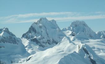 Albergue Pepito Grillo