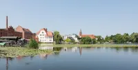 Fewo Auf der Dominsel-Lotus