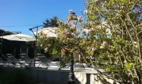 Hotel du Commerce Chez Stéphane Hotel dekat Aventure Parc Lacs De Haute Charente