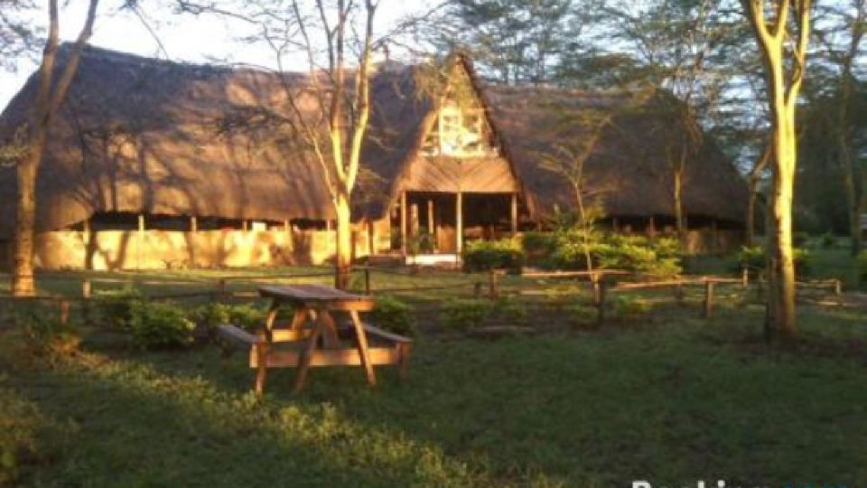 Oasis Eco Camp