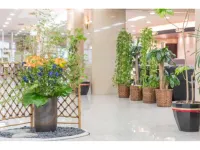 Tokyo Daiichi Hotel Shinshirakawa Hotels in Tanagura
