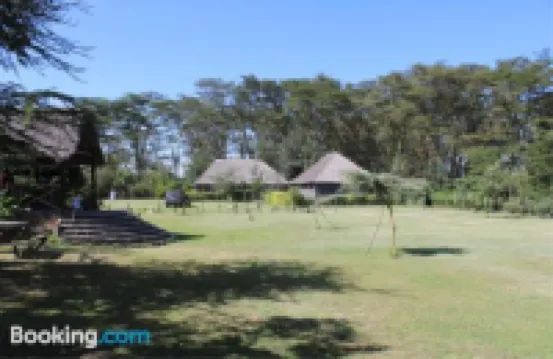 Cactus Eco Camp and Lodge Các khách sạn ở 