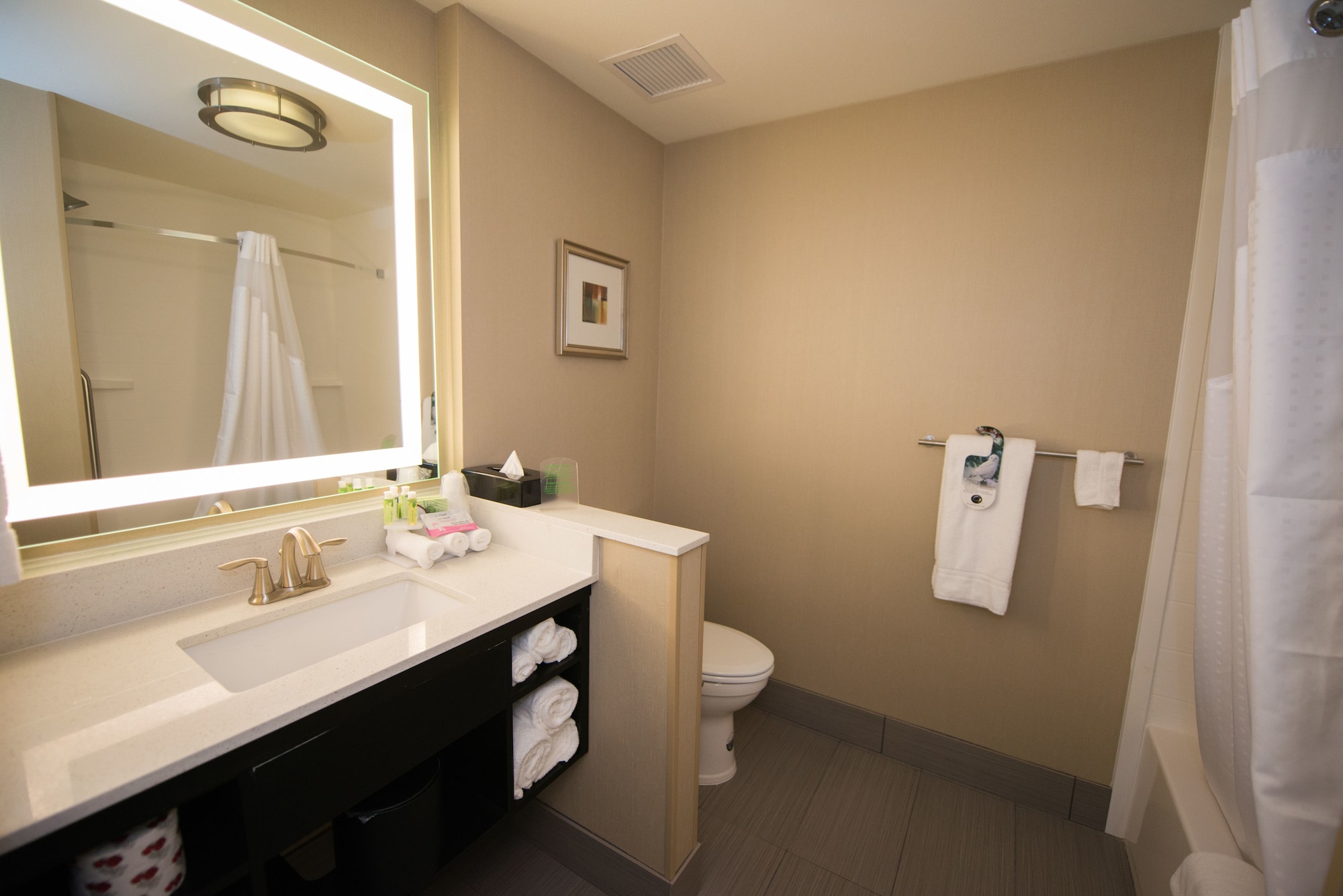 Holiday Inn Express & Suites Denver South - Castle Rock, an Ihg Hotel