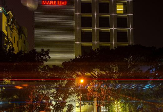 베스트 웨스턴 플러스 메이플 리프 로비