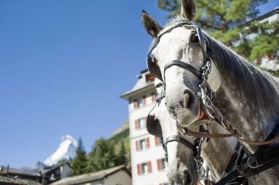 その他 グランド ホテル ツェルマッターホフの写真