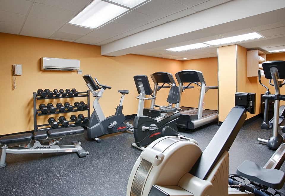 베스트 웨스턴 플러스