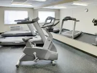 Comfort Inn Hotels in Pickering