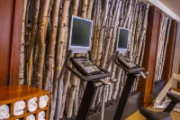 Everline Resort and Spa, Lake Tahoe - Gym