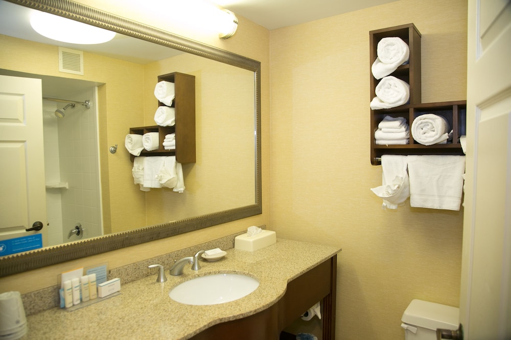 Hampton Inn Alpharetta/Roswell