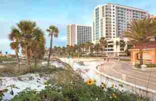 10 Best Clearwater (FL) Hotels: HD Photos + Reviews of Hotels in Clearwater  (FL), United States