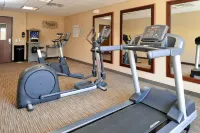 Holiday Inn Express & Suites GLOBE by IHG - Gym