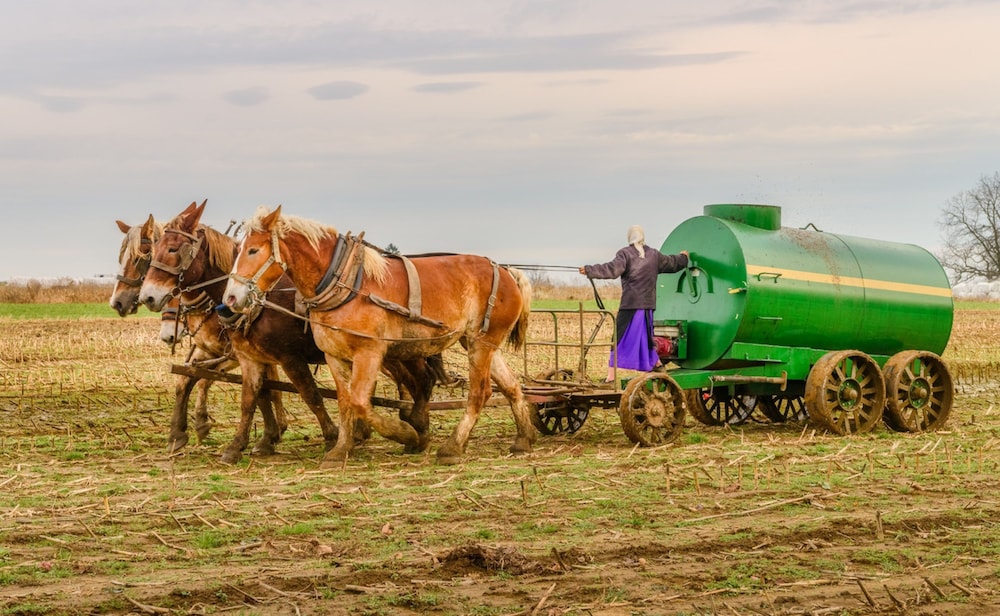 Harvest Drive Family Inn Intercourse - Amish Country