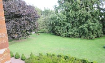 a lush green lawn surrounded by trees , with a path leading to the water feature in the background at Le Chateau