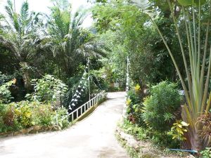 Tonphet Greenery Garden