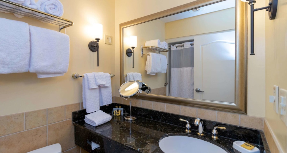 Best Western Plus Vineyard Inn & Suites