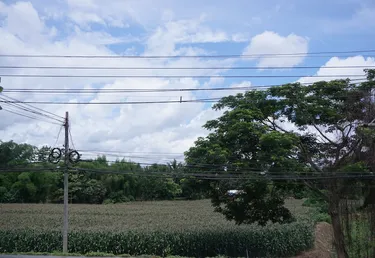 รูปภาพของโรงแรมสบายน่าน