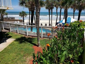 Flamingo Inn Beachfront