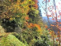 Japanese Style Inn Kaneki Hotels in Higashiagatsuma