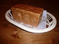 Petit Hotel Epi - Pet friendly