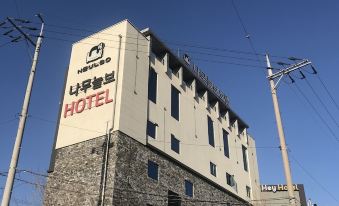 울산 일산 나무늘보 썸네일