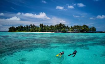 two people snorkeling in clear blue water near a tropical beach , with palm trees and white sand visible in the background at Raffles Maldives Meradhoo Resort