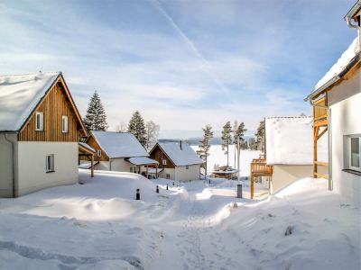 Lakeside Village 11