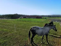 Petříkov