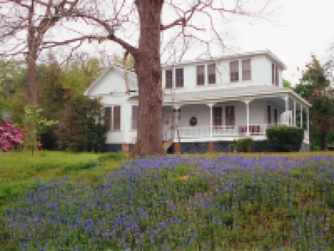 Best Western Inn of Jasper Hotels in Jasper