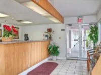 Super 8 by Wyndham Sarasota Near Siesta Key Hotels in Sarasota