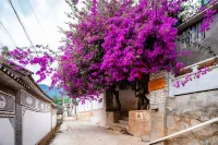 Wazhu Guozijian Boutique Guesthouse - Airport Shuttle