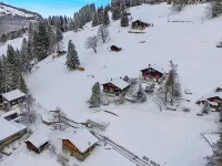 Jungfrau a D Ledi