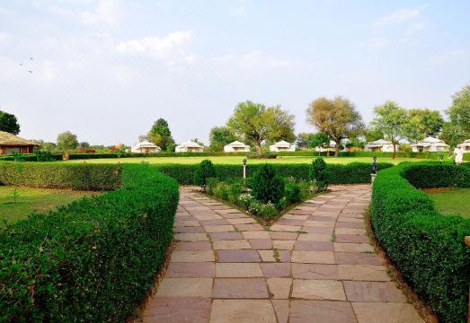 Aagman Abhaneri Village Safari Camp - Housity