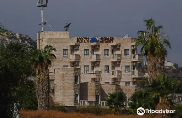 阿維夫假日公寓