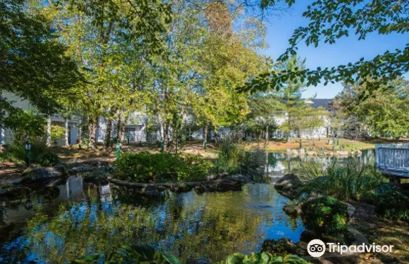 櫻桃谷酒店，貝斯特韋斯特至尊精選