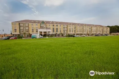Homewood Suites by Hilton Lafayette-Airport Hotels in Broussard