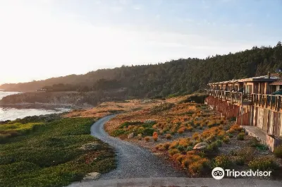 Timber Cove Resort Hotels in Jenner