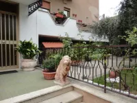 塔爾崇豪華住宿加早餐旅館