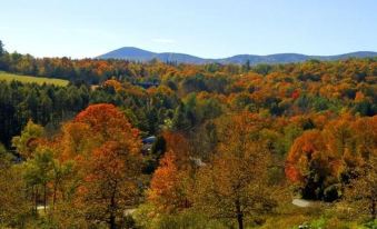 a picturesque landscape of a forest with colorful trees and mountains in the background , under a clear blue sky at Deerhill Inn