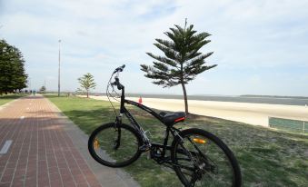a black bicycle is parked on a brick path near the ocean , with a palm tree in the background at Corrigans Cove