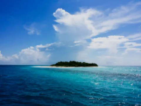 Aveyla Manta Village Hotels in Dharavandhoo Island