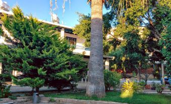 Zoe's Court - Housity