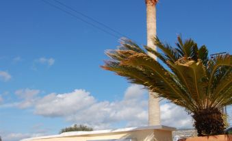 a sign for panaketi naval bay is displayed next to a large palm tree at Panareti Coral Bay Resort