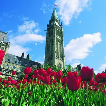 Cartier Place Suite Hotel