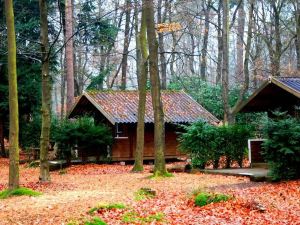 Stayokay Hostel Apeldoorn