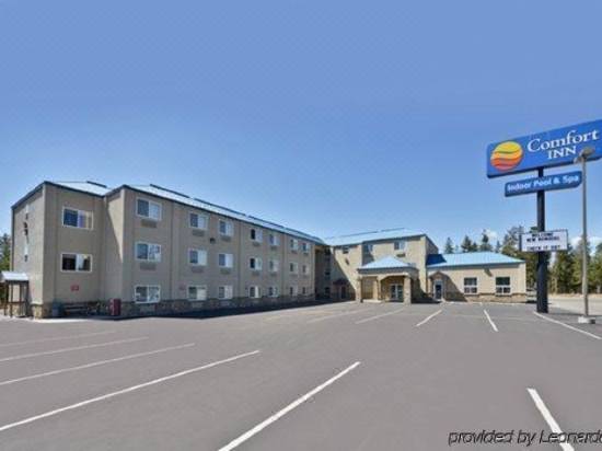 イエローストーン ウエスト ゲート ホテル ウエスト イエローストーン を宿泊予約 22年安い料金プラン 口コミ 部屋写真 Trip Com