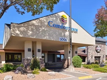Comfort Inn Plymouth-Minneapolis Отели рядом с достопримечательностью «HomeGoods»