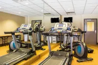 Comfort Inn and Suites Yuma I-8 - Gym