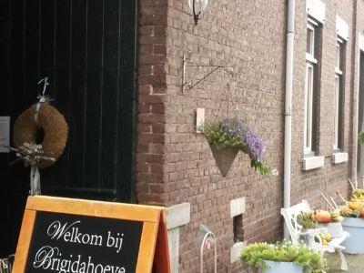 Brigidahoeve